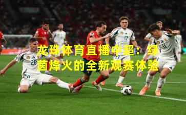 龙珠体育直播中超:绿茵烽火的全新观赛体验