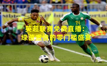 英超联赛免费直播：绿茵激情的零门槛盛宴