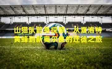 山猫队前身探源：从夏洛特黄蜂到新奥尔良的迁徙之旅