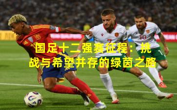 国足十二强赛征程：挑战与希望并存的绿茵之路