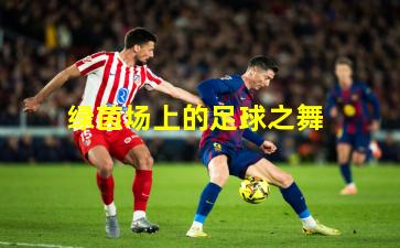 绿茵场上的足球之舞