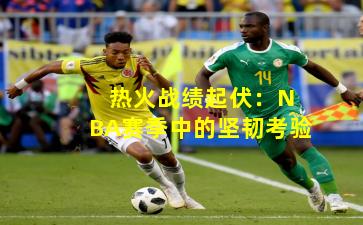 热火战绩起伏:NBA赛季中的坚韧考验