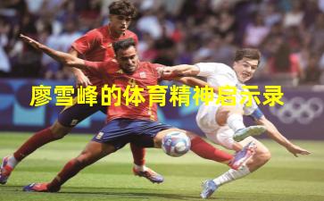 廖雪峰的体育精神启示录